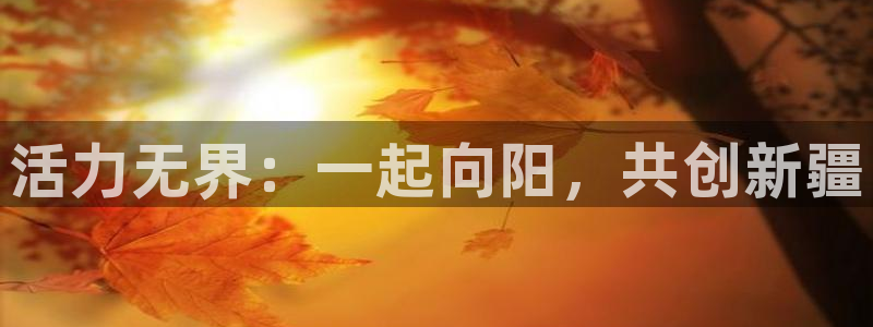 yy易游官网下载平台注册要钱吗安全吗:活力无界:一起向阳,共