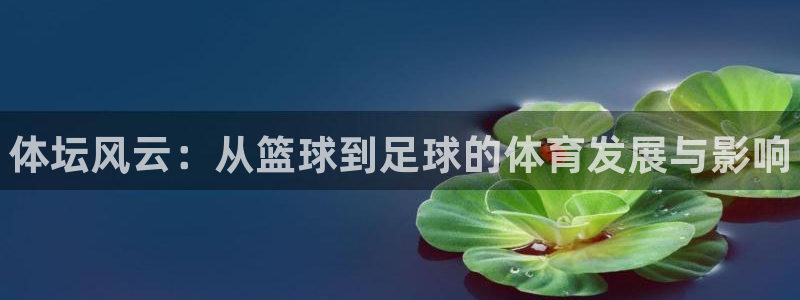 yy易游官网下载联系电话:体坛风云:从篮球到足球的体育发展与