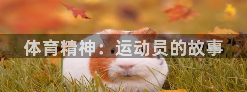 yy易游官网下载娱乐:体育精神:运动员的故事