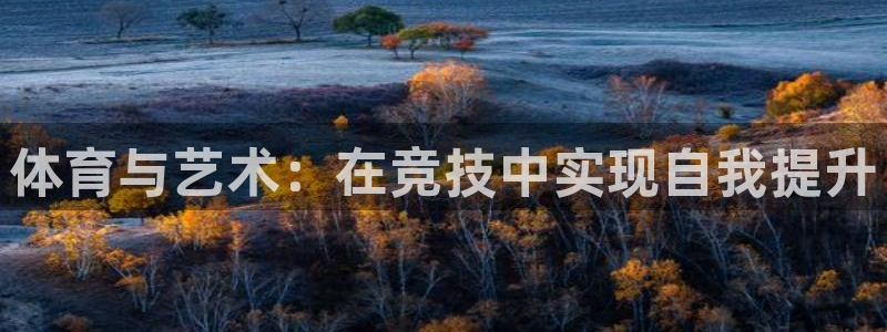 yy易游官方正版app官方:体育与艺术:在竞技中实现自我提升